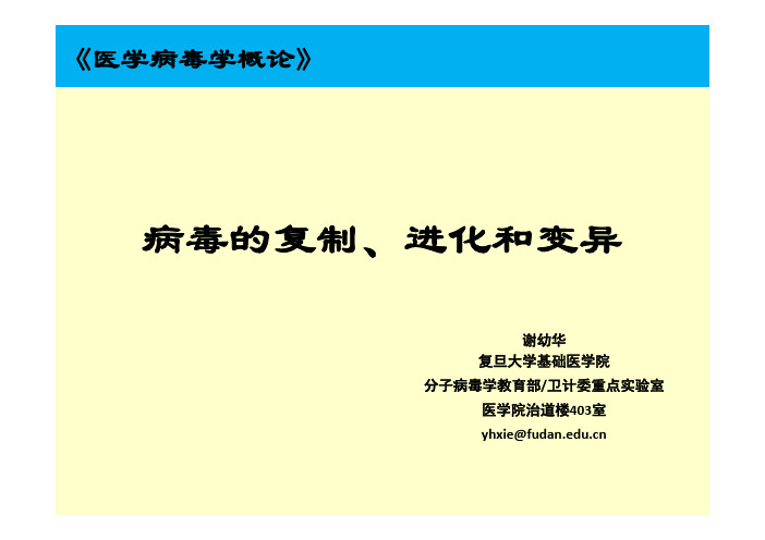 《医学微生物学》教学课件：15-病毒概论 病毒的复制、进化和变异