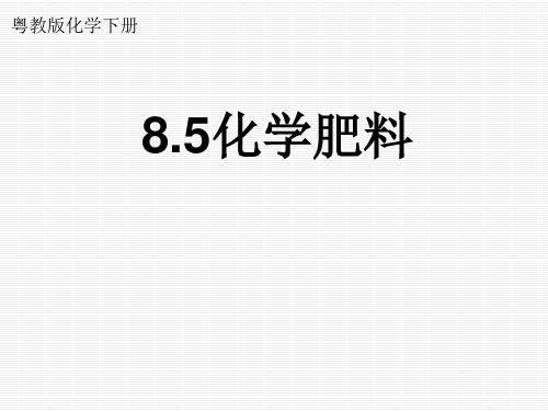 科粤版九年级下册化学：8.5 化学肥料