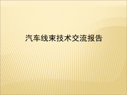 汽车线束技术交流报告