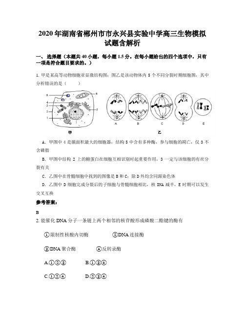 2020年湖南省郴州市市永兴县实验中学高三生物模拟试题含解析