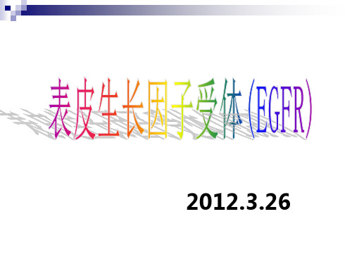 EGFR简介(2012年3月26)