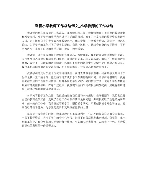 寒假小学教师工作总结例文_小学教师的工作总结