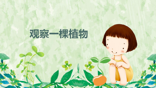 小学科学苏教版《观察》PPT精美课件1