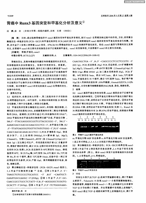 胃癌中Runx3基因突变和甲基化分析及意义