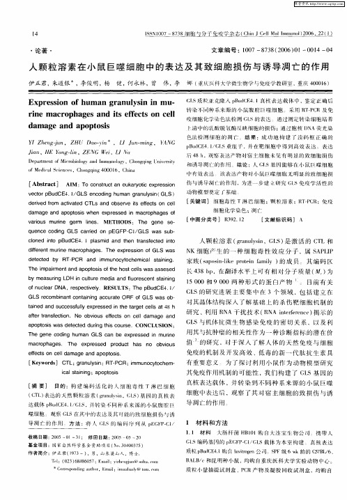 人颗粒溶素在小鼠巨噬细胞中的表达及其致细胞损伤与诱导凋亡的作用