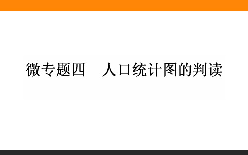 高三地理一轮复习课件：微专题四-人口统计图的判读