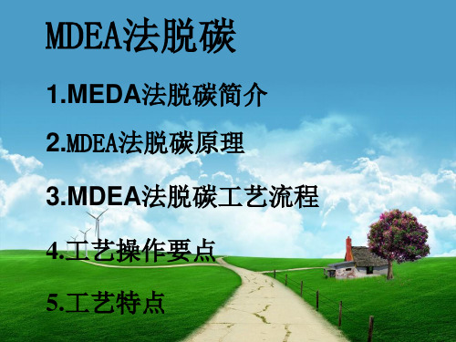 MDEA法脱碳