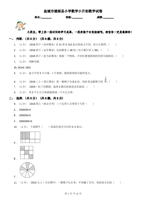 盐城市建湖县小学数学小升初数学试卷