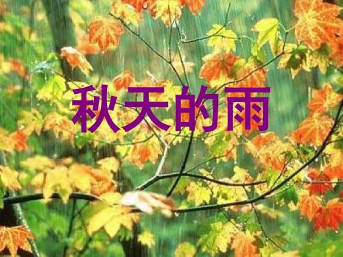 11课《秋天的雨》PPT课件0