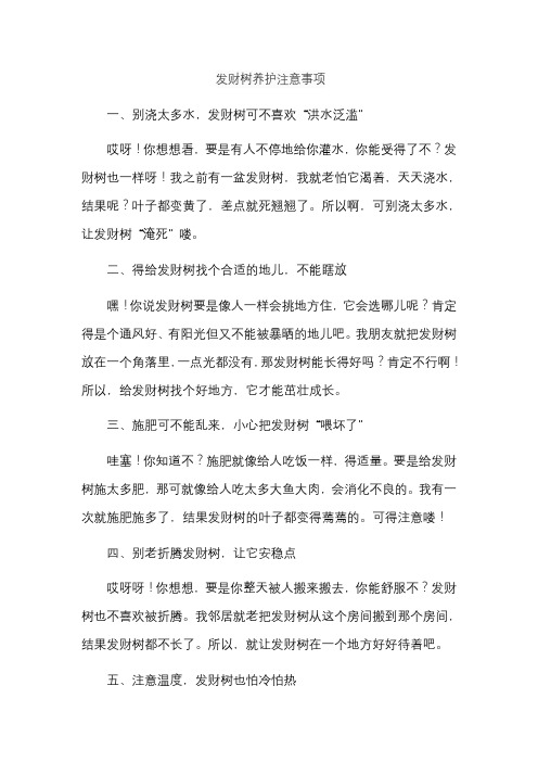 发财树养护注意事项