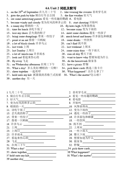 (译林版)6A Unit 2词组及默写