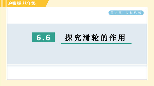 沪粤版八年级下册物理 第6章 6.6 探究滑轮的作用 习题课件
