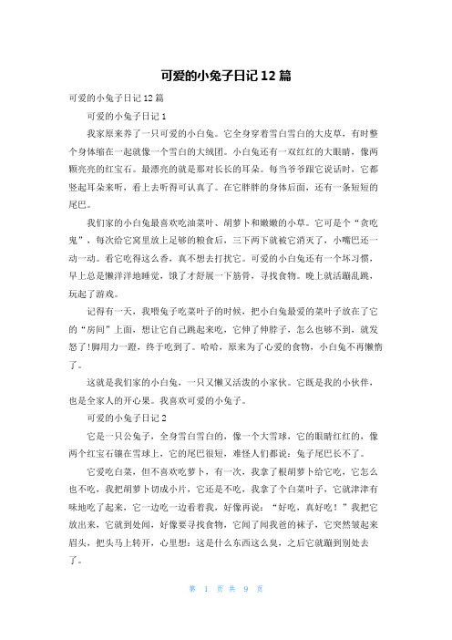 可爱的小兔子日记12篇