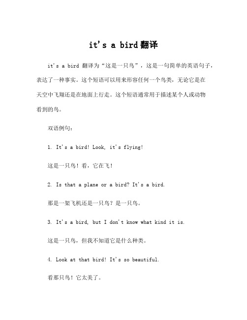 it's a bird翻译