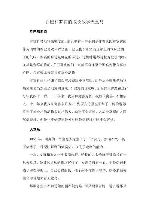 乔巴和罗宾的成长故事天堂鸟