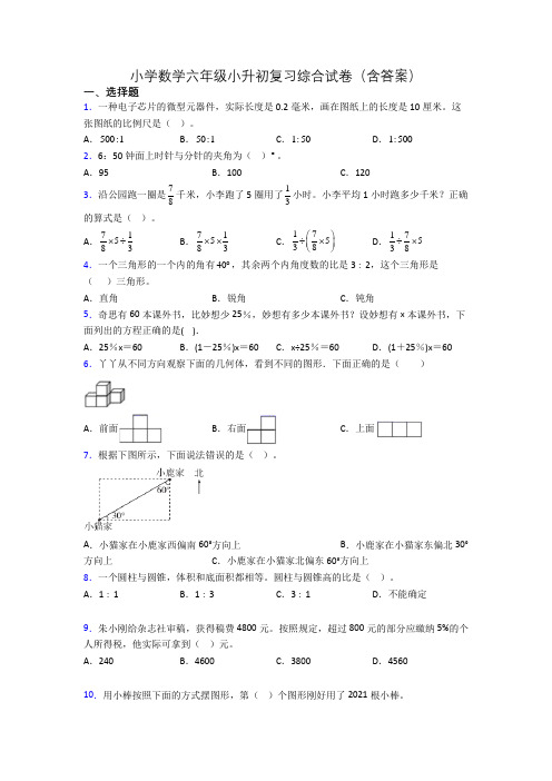 小学数学六年级小升初复习综合试卷(含答案)