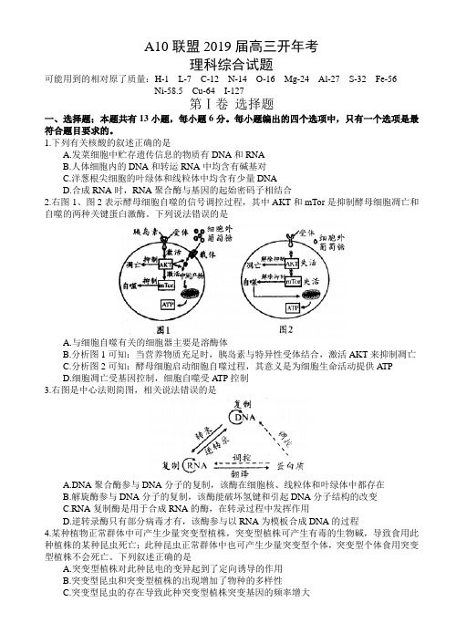 安徽省1号卷 A10联盟2019届高三开年考理科综合试题