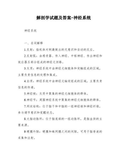 解剖学试题及答案-神经系统