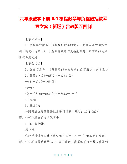 六年级数学下册 6.4 零指数幂与负整数指数幂导学案(新版)鲁教版五四制