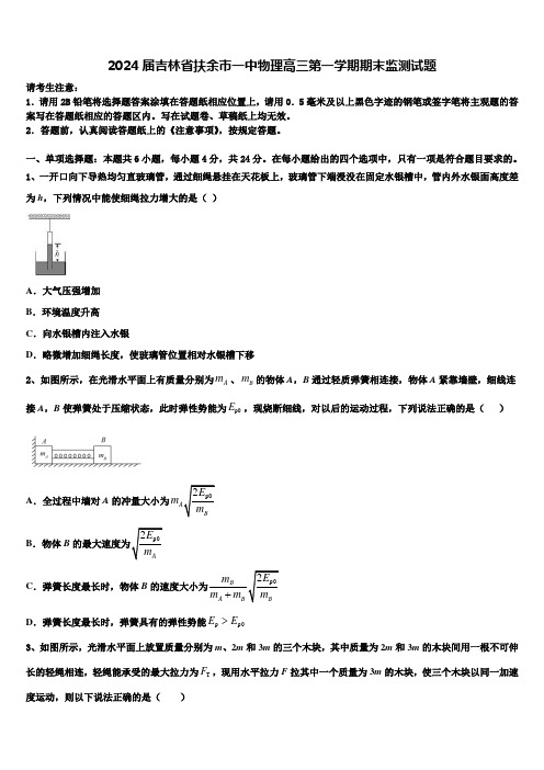 2024届吉林省扶余市一中物理高三第一学期期末监测试题含解析