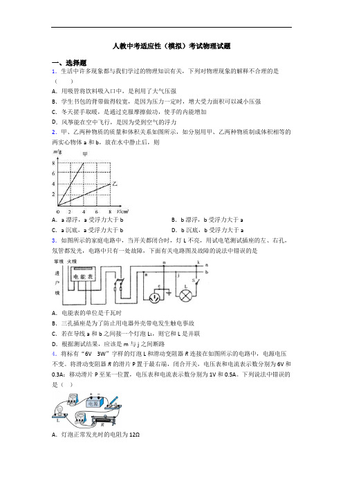 人教中考适应性(模拟)考试物理试题