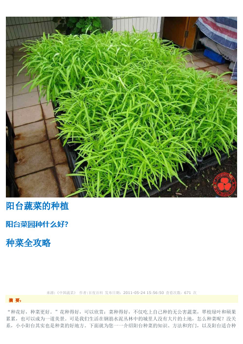 阳台蔬菜的种植