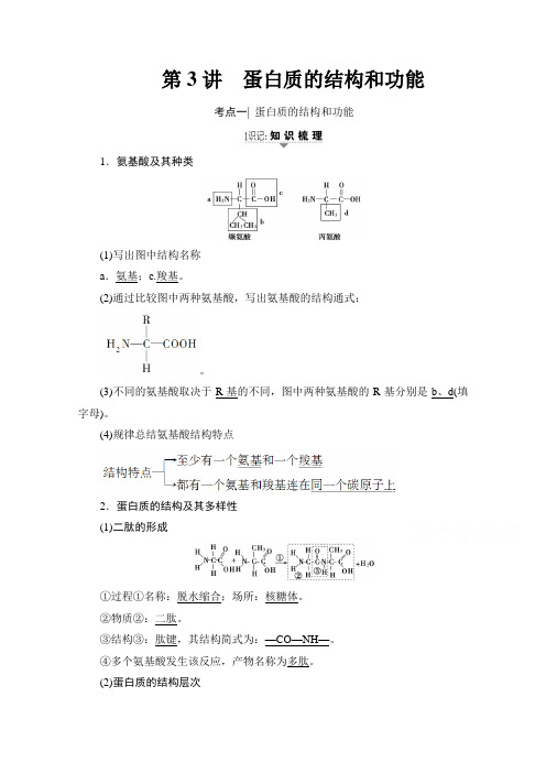 2018届高三苏教版生物一轮复习教师用书必修1第1单元第3讲蛋白质的结构和功能Word版含答案