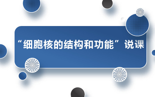 细胞核的结构与功能说课课件-2023-2024学年高一上学期生物人教版必修一