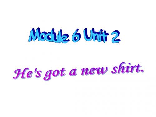 新标准一起小学三年级英语Module6Unit2_He's_got_a_new_shirt