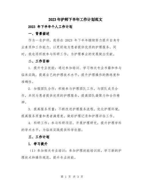 2023年护师下半年工作计划范文