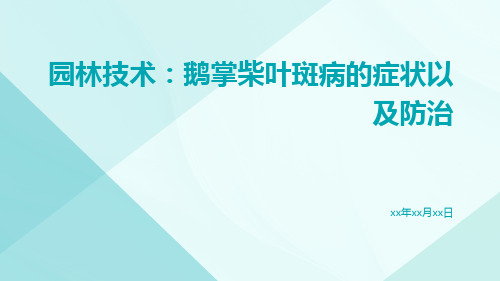 园林技术：鹅掌柴叶斑病的症状以及防治