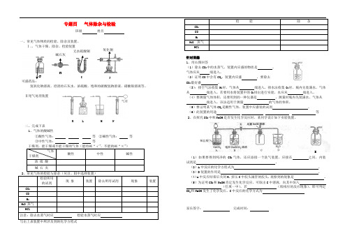 山东省济宁市第十三中学九年级化学全册 专题四 气体除杂与检验练习(无答案) 鲁教版五四制