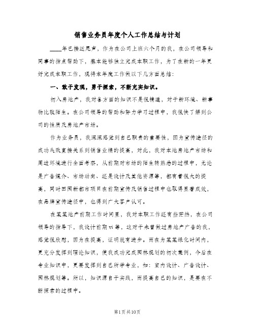 销售业务员年度个人工作总结与计划（5篇）