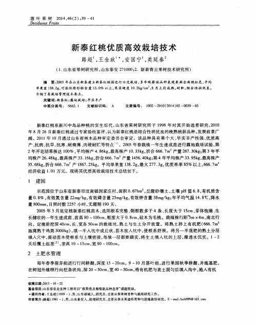 新泰红桃优质高效栽培技术