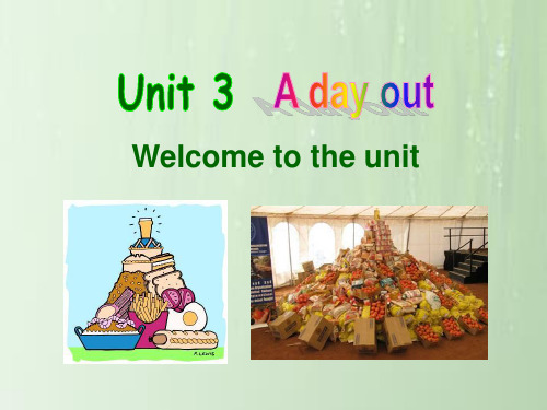 新译林 八年级上U3 Welcome to the unit(共46张PPT)精品课件