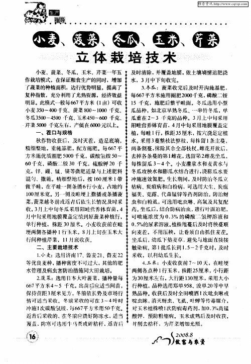小麦、菠菜、冬瓜、玉米、芹菜立体栽培技术