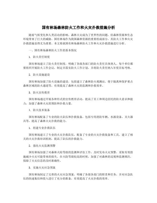 国有林场森林防火工作和火灾扑救措施分析