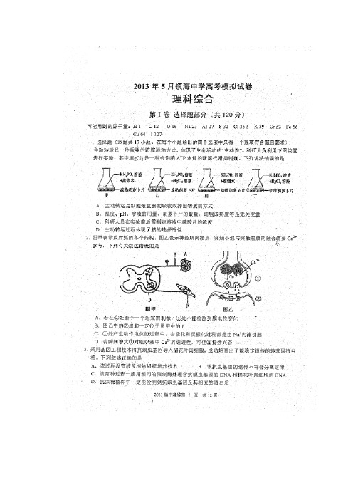 浙江省镇海中学2013届高考模拟理综试卷(扫描版,答案word)
