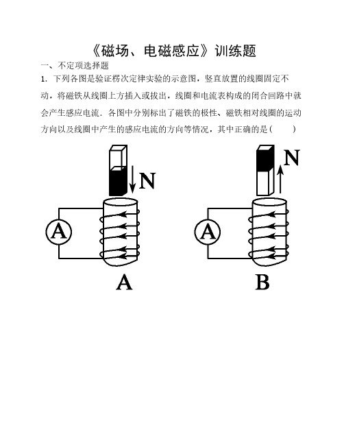 《磁场、电磁感应》训练题(含详细答案)