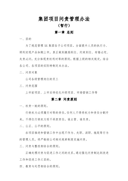 【推荐】集团项目问责管理办法(含附表)