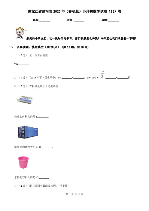黑龙江省黑河市2020年(春秋版)小升初数学试卷(II)卷