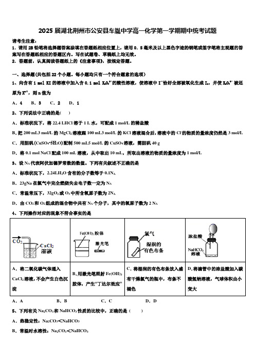 2025届湖北荆州市公安县车胤中学高一化学第一学期期中统考试题含解析