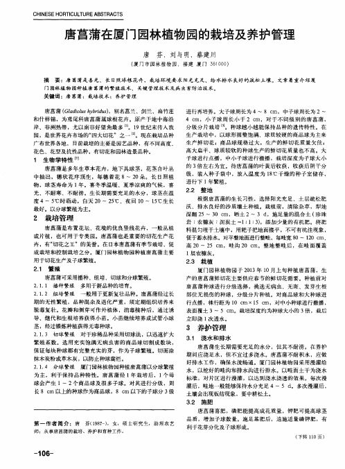 唐菖蒲在厦门园林植物园的栽培及养护管理