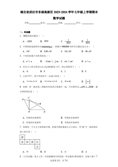 湖北省武汉市东湖高新区2023-2024学年七年级上学期期末数学试题