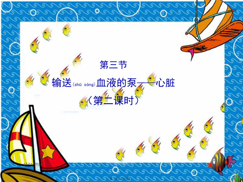 七年级生物下册4.4.3《输送血液的泵——心脏》第二课时演示初中七年级下册生物
