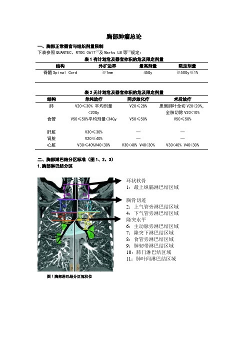 胸部肿瘤放疗总论