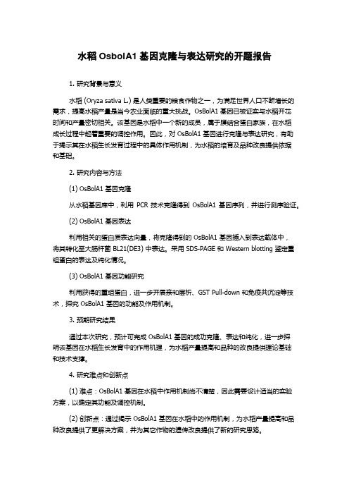 水稻OsbolA1基因克隆与表达研究的开题报告