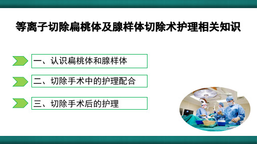 等离子扁桃体及腺样体切除护理相关知识(张小兰)