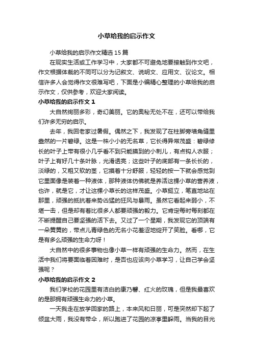 小草给我的启示作文