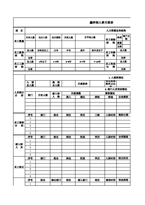 人事月报表模板